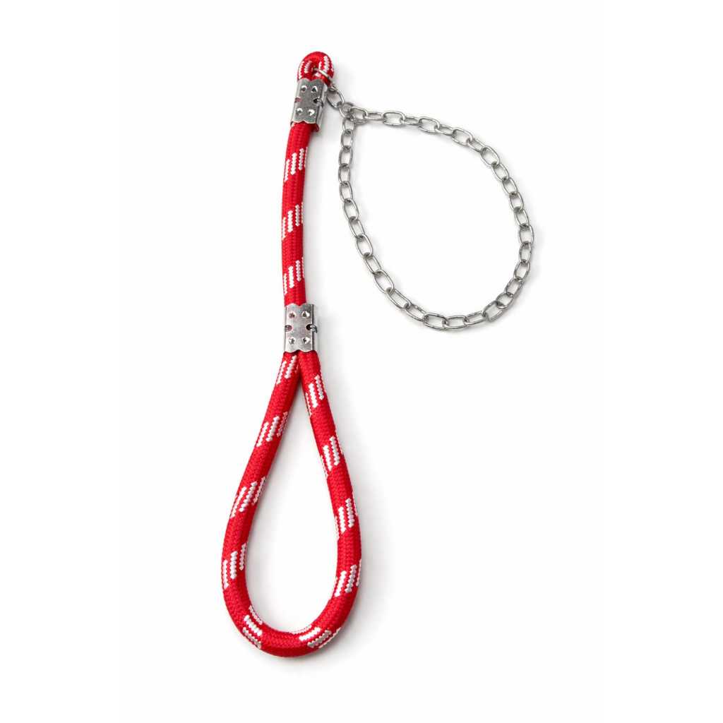 Coleira Sortida para Cachorro 60cm 16mm com Corrente Enforcador 70cm Forte Segurança Passeio