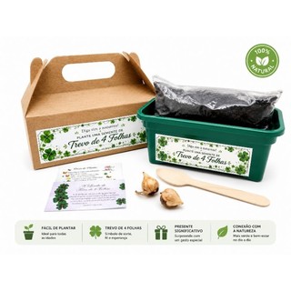 Kit Plantio Maletinha Trevo de 4 Folhas