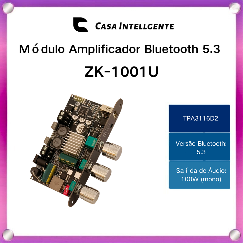 ZK-1001U Módulo Amplificador Bluetooth 5.3 Mono 100W com Graves e Agudos Entrada AUX + USB + TWS