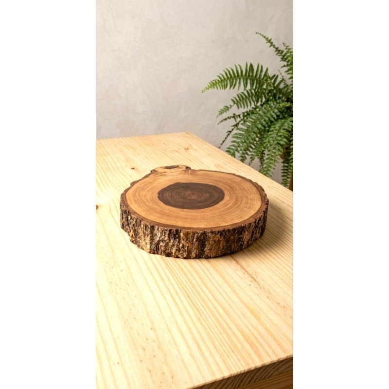 Kit 5 Bolachas de Madeira Rústica 20cm - Ideal para Decoração, Souplast e Artesanato
