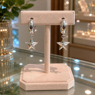 Brinco Argola com Pingente de Estrela Aço Inoxidável