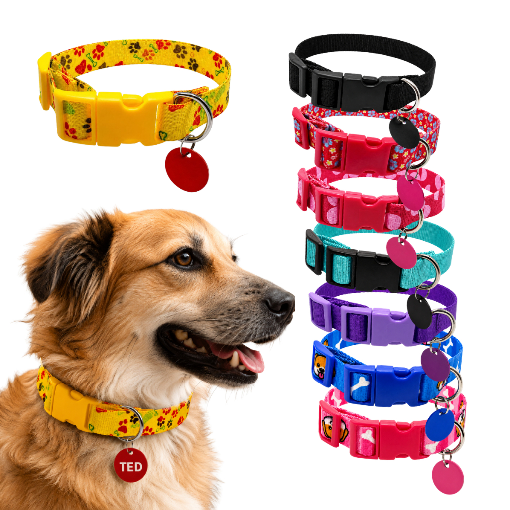 Coleira Para Cachorro  Plaquinha  de Identificação Luxo Passeios Cães  Personalizado Nome do Pet