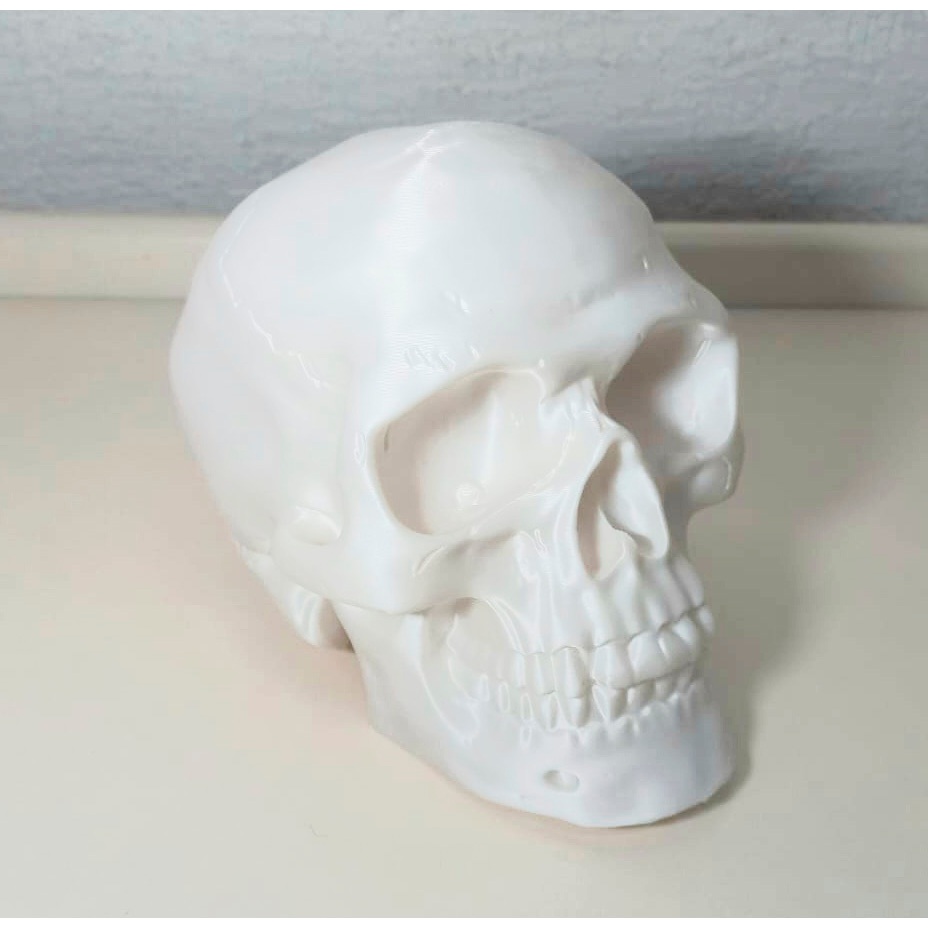 Caveira Decorativa | Cranio Decoração | Peça Decorativa esqueleto | Skull Decor