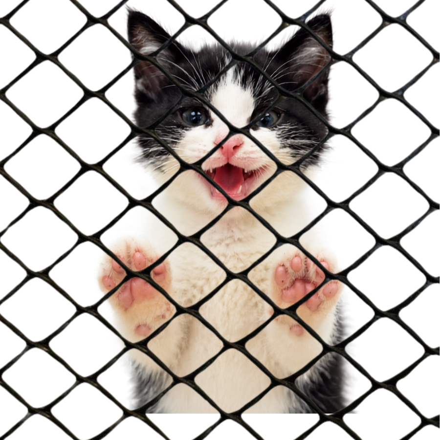 Tela Plástica Multiuso Para Portão Gato Galinheiro Pinteiro Viveiro 5 - 10 - 15 Metros Reforçado