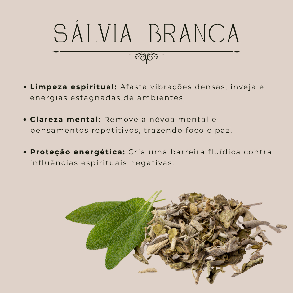 Sálvia Branca Seca Natural para Defumação, Banho de Ervas, Purificação e Aromatização 20g a 100g — imagem 2 de 2