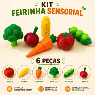Brinquedo Sensorial - Kit Feirinha Infantil 6 peças interativas/ Montessori/ Articulados | Educativo / Presente Crianças