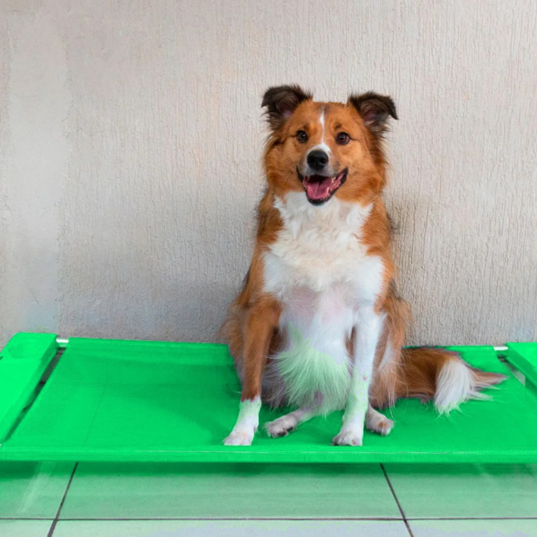 Cama Cachorro Gato Grande Freso Lavável Fácil Limpeza Antiderrapante Confortável Pet Cães filhotes Dia das Crianças