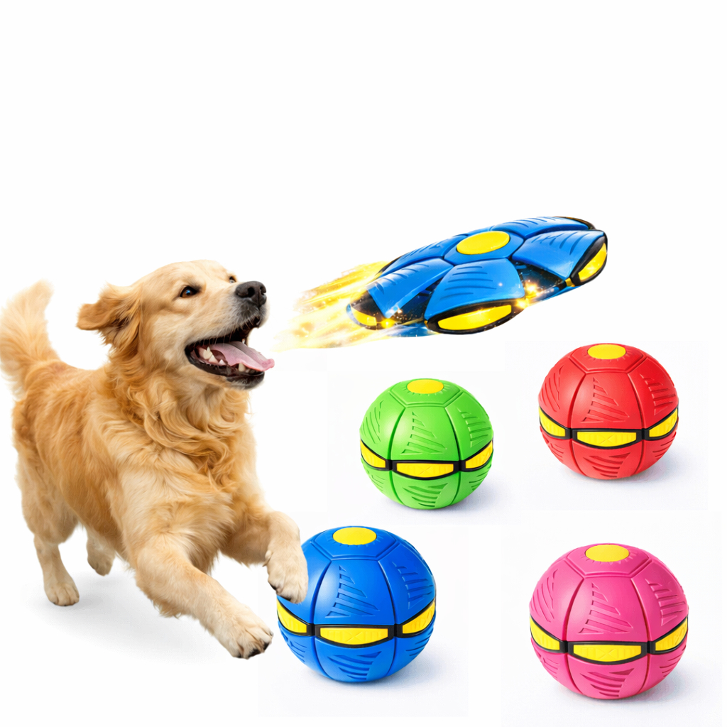 Brinquedo Para Cachorro Bola Mágica Disco Voador Ao Ar Livre Bola Maluca Grande 23cm