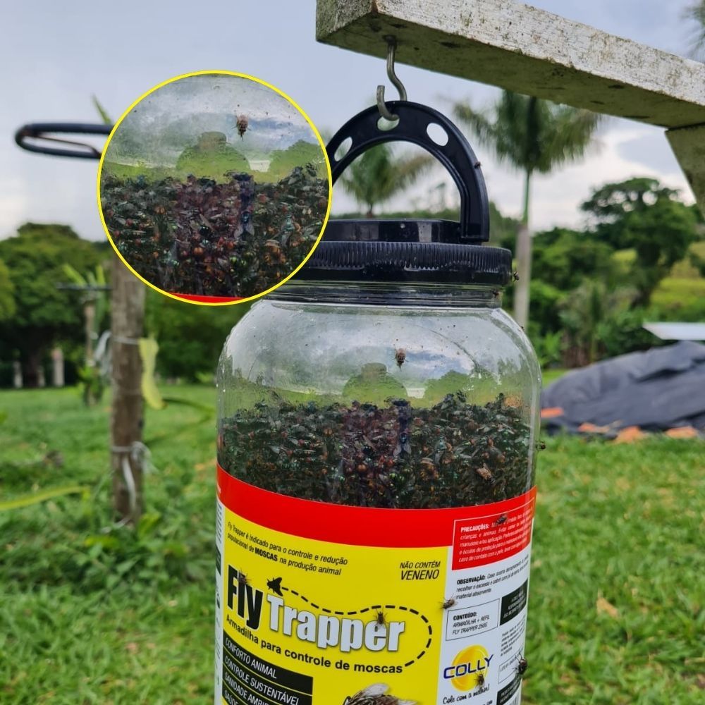 Isca  Pega Mosca Atrativa Fly Trapper com Refil Atrativo 250g | Uso Externo Coletores de moscas Fly Trap Coleagró