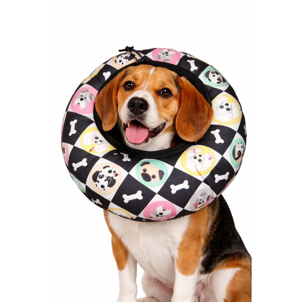 COLAR ELIZABETANO ALMOFADADO DOG OSSINHO PARA GATOS E CÃES