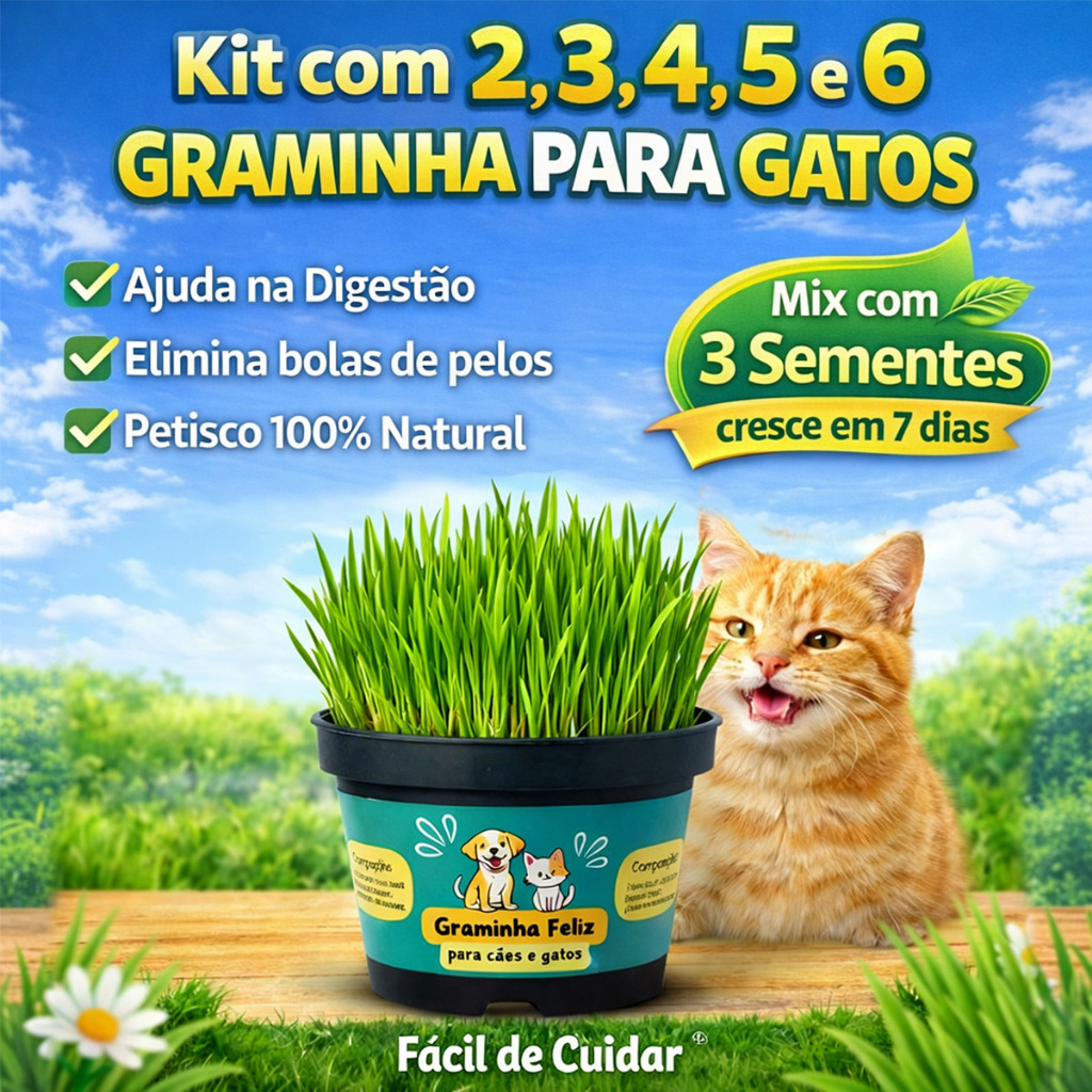 Graminha para Gatos 2, 3, 4, 5 ou 6 Unidades - Elimina Bolas de Pelos e Ajuda na digestão