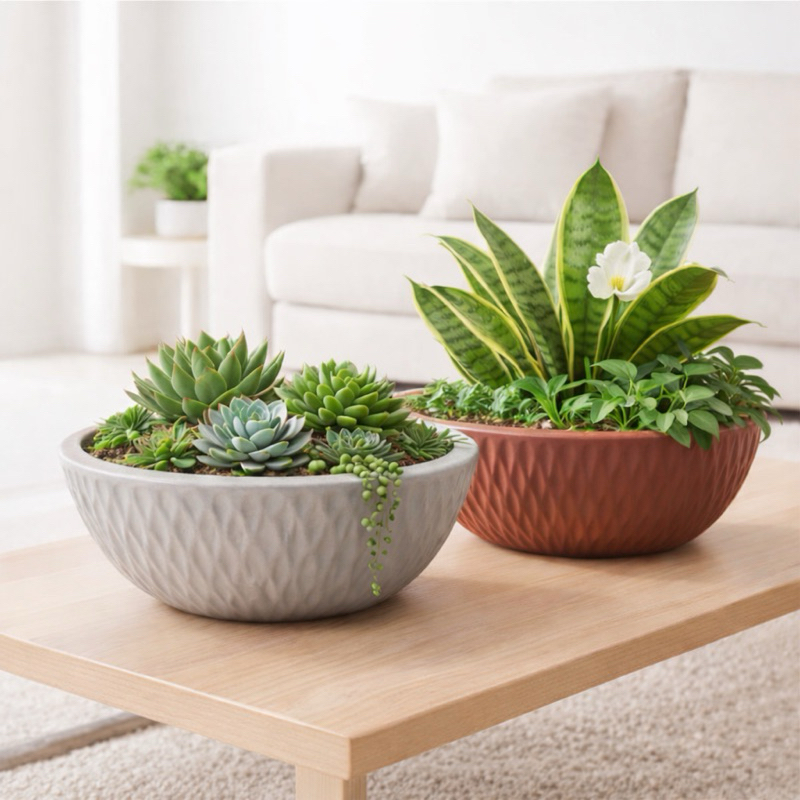 Vasos de Planta Bacia Horizontal para Jardim e Casa (Kit 2 Peças P e M)- Envio imediato 💨 em Oferta na Shopee