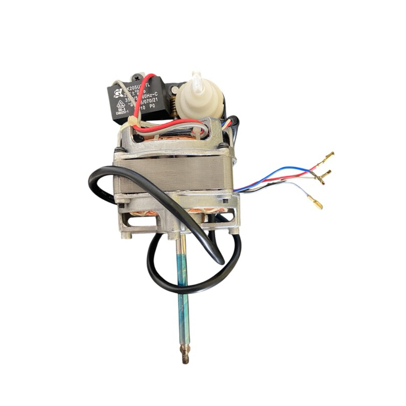 Motor Do Ventilador Arno Mw40 ME40 Laveo 40cm 110v
