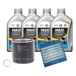 Kit Revisão Óleo 10w40 Shell Maxi Performance Original