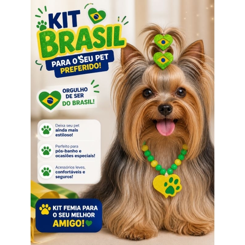 kit Pet Brasil Colar pet Medalhão colar Brasil para caes e gatos macho e fêmea.