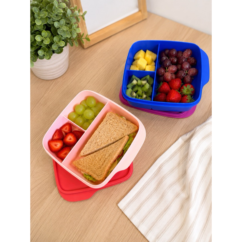 Basic Line com Divisórias Original Tupperware / Lancheira / Pote lanche