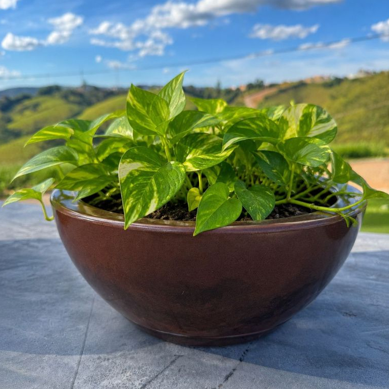 Vaso De Plantas Bacia Decorativa 34 cm com Prato Coletor -Vaso Decorativo Redondo em Polietileno.... — imagem 2 de 2