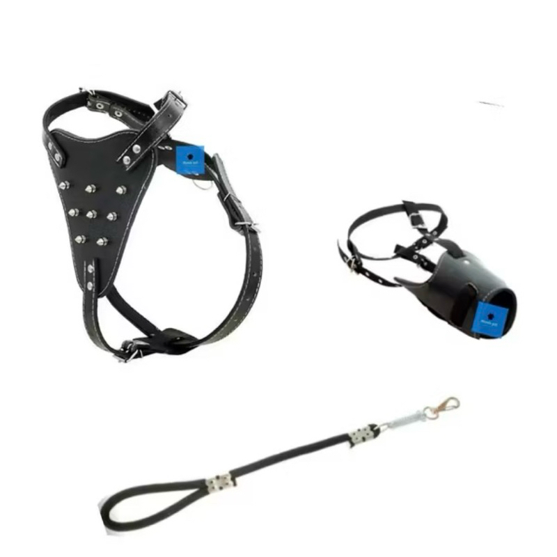 Peitoral Spikes Em Couro Pitbull Rotweiller Pastor + Focinheira Resistente Fila E Guia