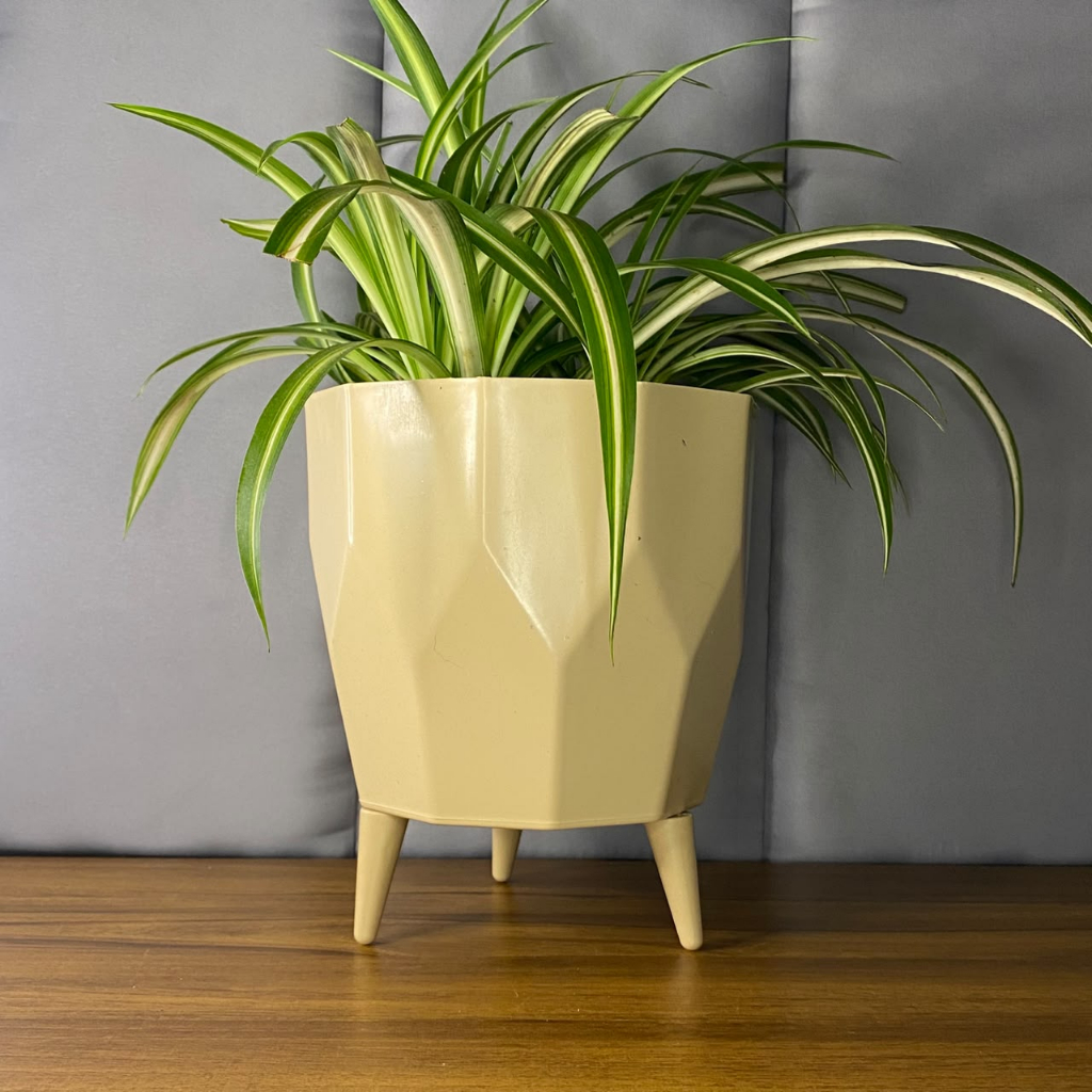 Vaso Planta Mini Facetado com Pé Luxo N4 20x16 Cachepot