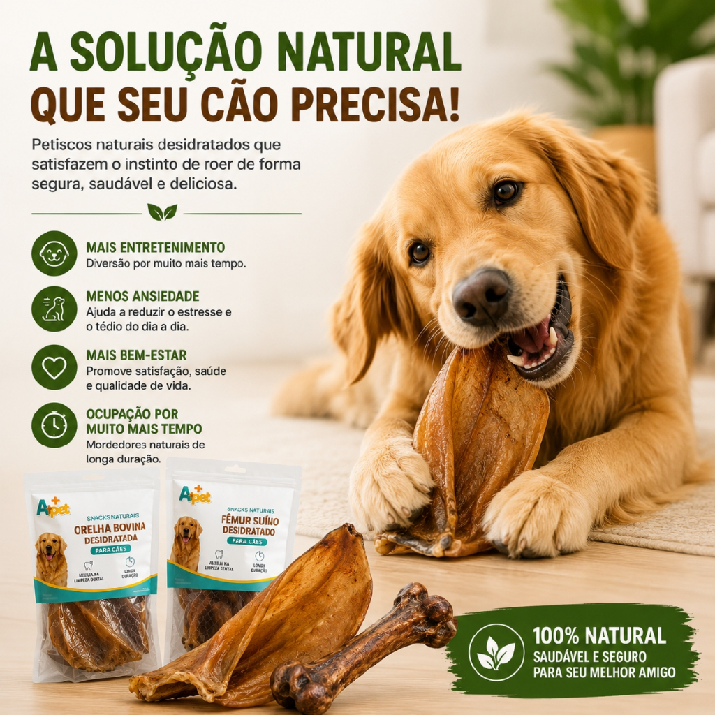 Kit Petisco Natural para Cachorro Mordedores Desidratados 100% Naturais — imagem 2 de 2