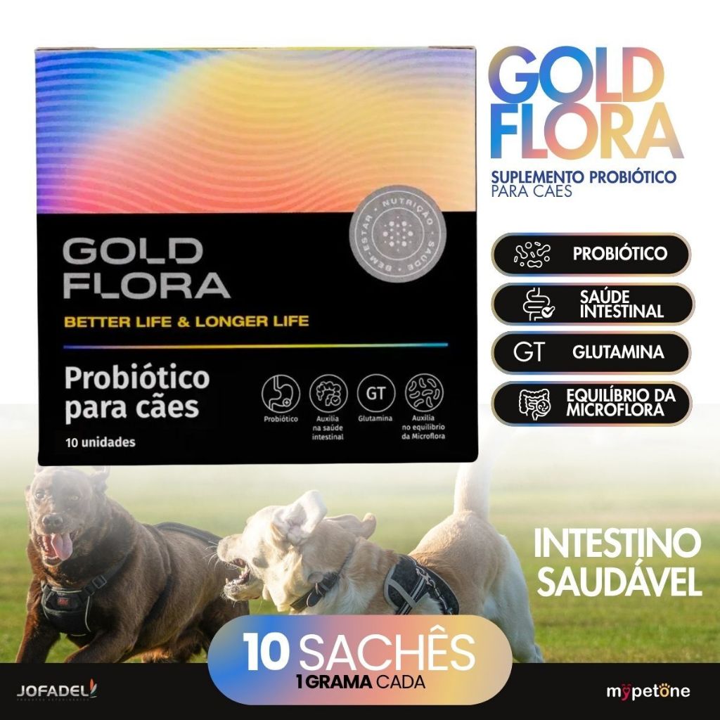 Gold Flora Probiótico Para Cães 10 Sachês | Saúde Intestinal e Flora Intestinal