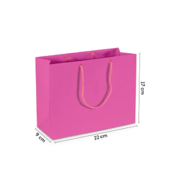Sacola Papel P Pequena Rosa 22x17x9 cm 20 Unidades