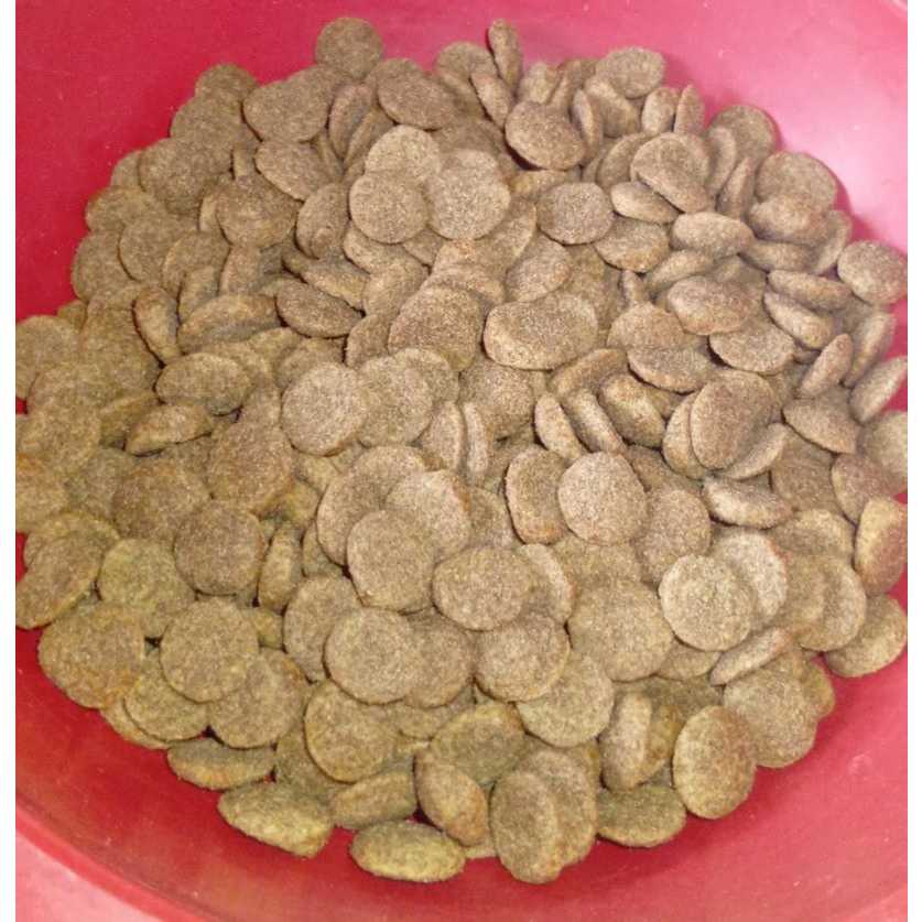 RAÇÃO CÃES ADULTO 6 KILOS NANNY DOG SEM A EMBALAGEN ORIGINAL POR ISSO O PREÇO