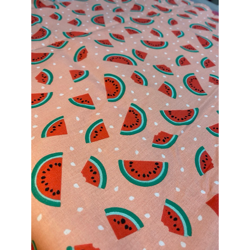 Capa / Case Melancia 🍉 para kindle 10a ou 8a geração, kindle 11 , kindle PaperWhite Signature