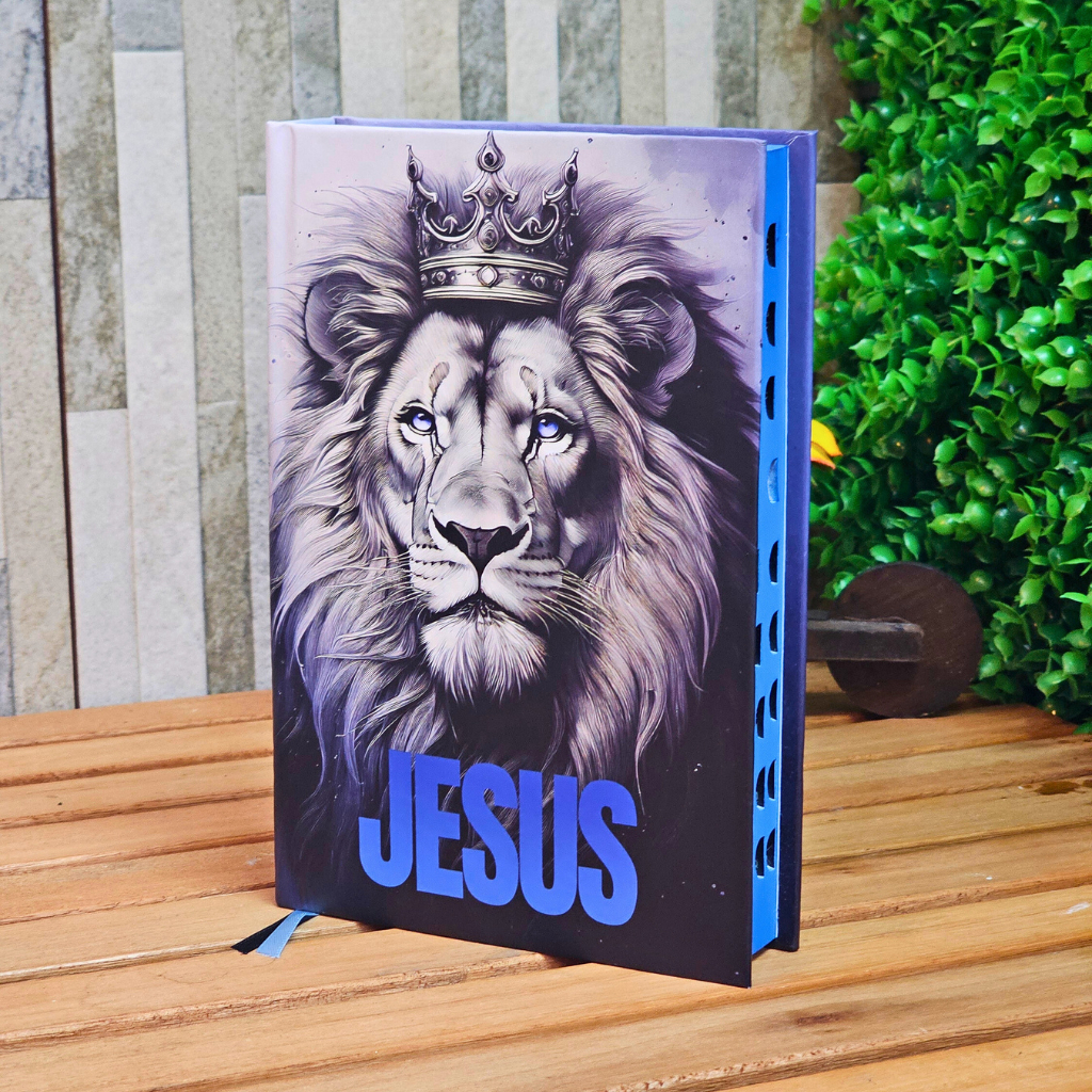 Biblia Sagrada Letra Gigante Revista Corrigida Antigo e Novo Testamento Feminina Masculina