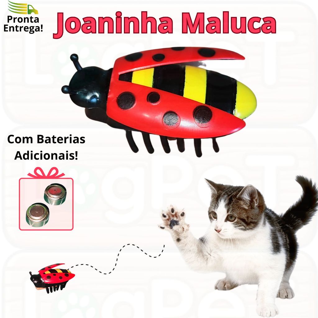 Brinquedo para Gato Joaninha Elétrica Interativo Bateria Inseto Besouro Barata Vibra Anda Sozinho