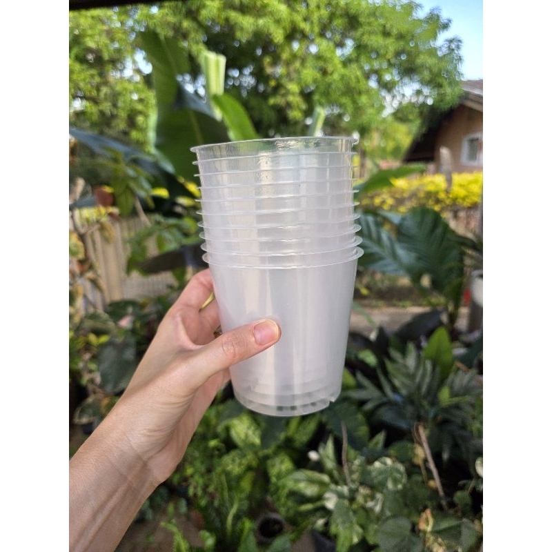 Kit 10 Vasos Transparentes tam.11 - Orquídeas, Anthurium, Philodendron E Planta Ornamental- ideal pra ver o enraizamento