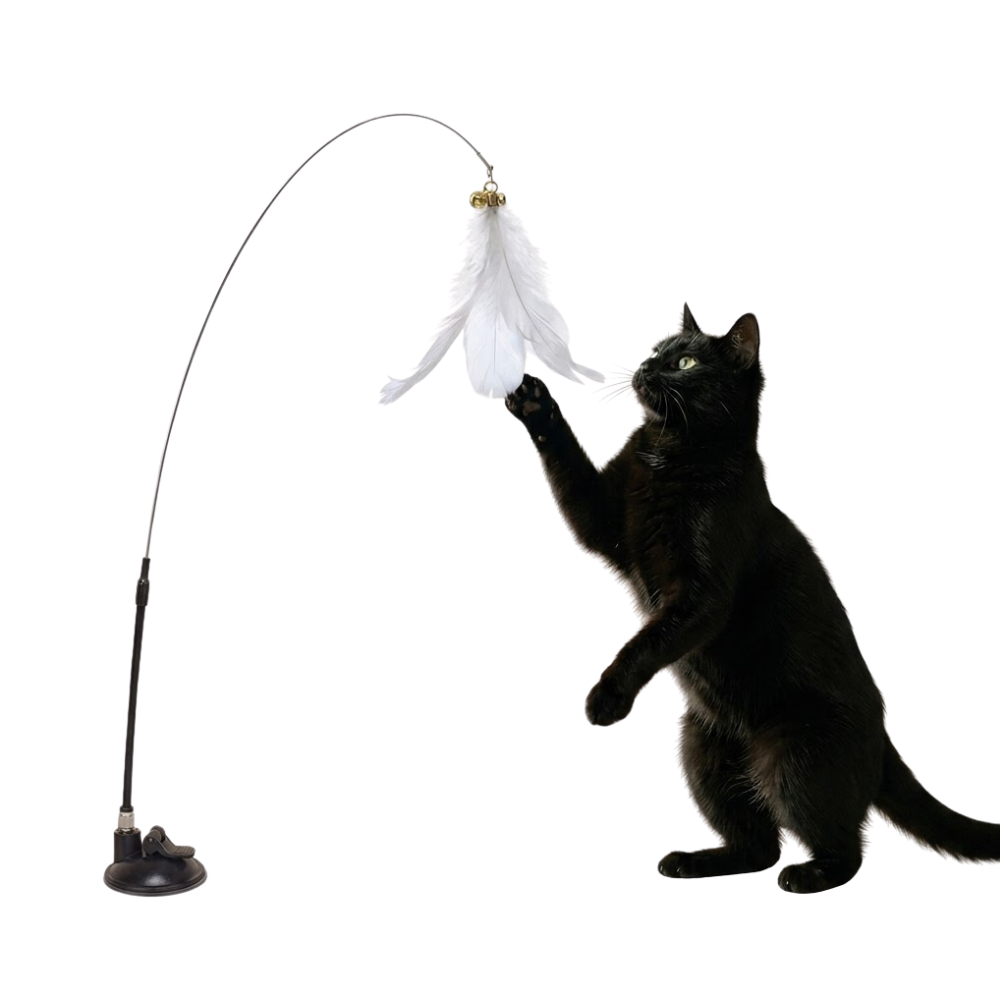 Brinquedo Varinha Gato Passaro Com Ventosa Fixa No Chao