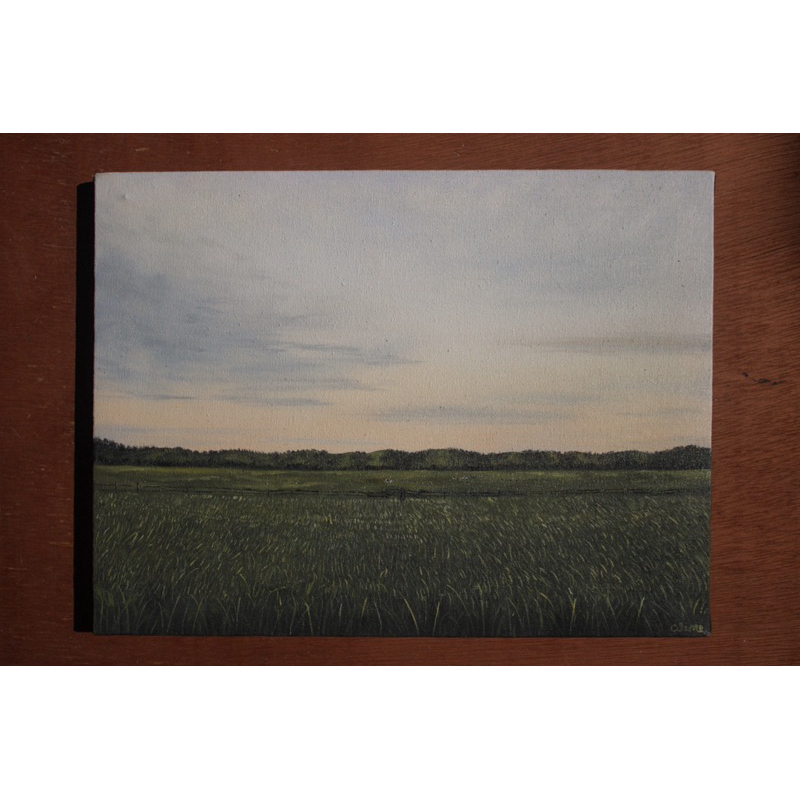Quadro Pintura a Óleo Paz no Campo | Obra Autoral