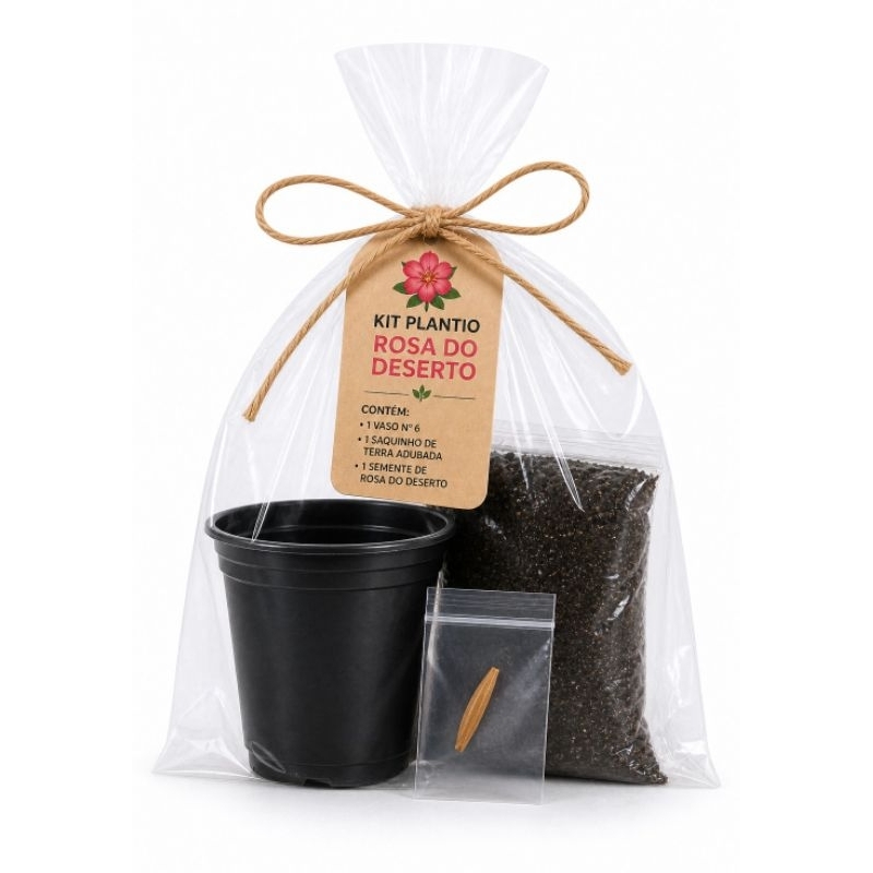 KIT PLANTIO ROSA DO DESERTO RARA ! 1 SEMENTE + 1 VASO + SUBSTRATO ADUBADO