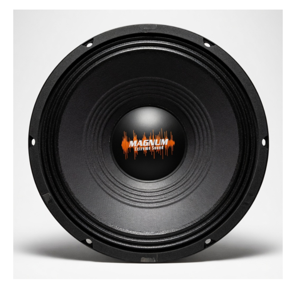 Alto Falante 10'' Polegadas  Woofer Médio Grave 300W Rms PMPO Seco 4 E 8 OHMS