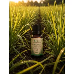 Óleo Essencial Citronela 20ml Repelente Natural 100% Puro Mosquitos Pernilongos