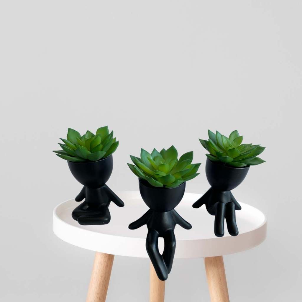 Kits De Suculentas Echeveria Artificial Realista Escolha O Modelo Para Decoração Moderna