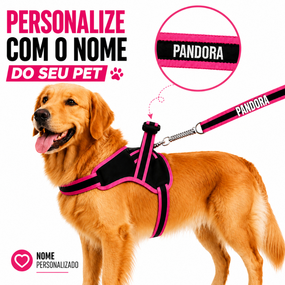 Coleira Para Cachorro Personalizada com Nome + Guia Anti Puxão Resistente