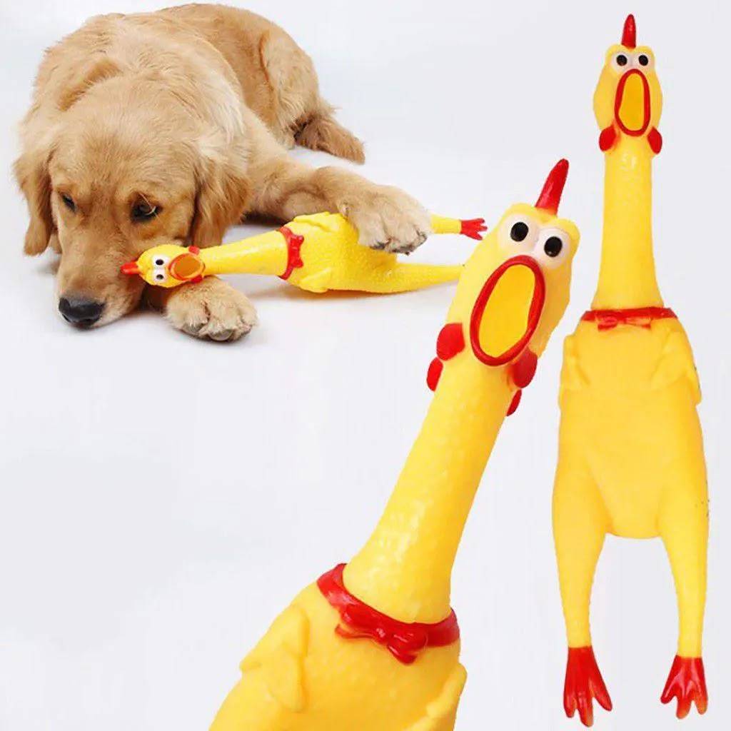 Brinquedo Pet Galo De Borracha 27 cm