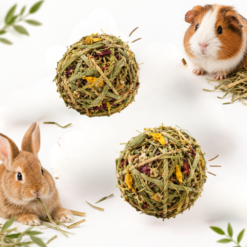 Kit Feno Ball Brinquedo Petisco Para Coelhos Porquinhos Da India Chinchila e Roedores