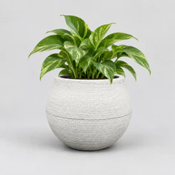 Vaso decorativo em polietileno para Planta Modelo Esfera PP