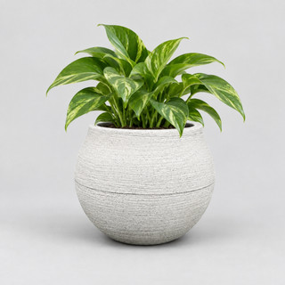 Vaso decorativo em polietileno para Planta Modelo Esfera PP