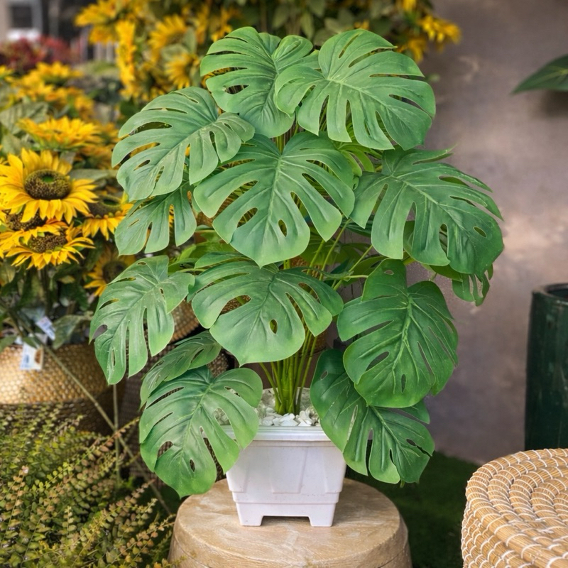 Planta Costela Adão Artificial Vaso 18 Folhas Realistas Decoração Moderna Sala Escritório Jardim em Oferta na Shopee