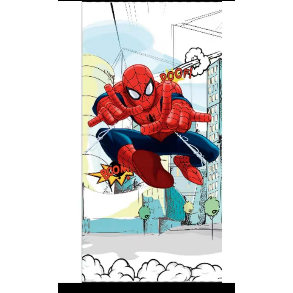 PAINEL LATERAL SEM VESTE SEM ELASTICO -DECORAÇÃO DE FESTA (HOMEM ARANHA HEROIS VINGADORES) (ENVIO RAPIDO)
