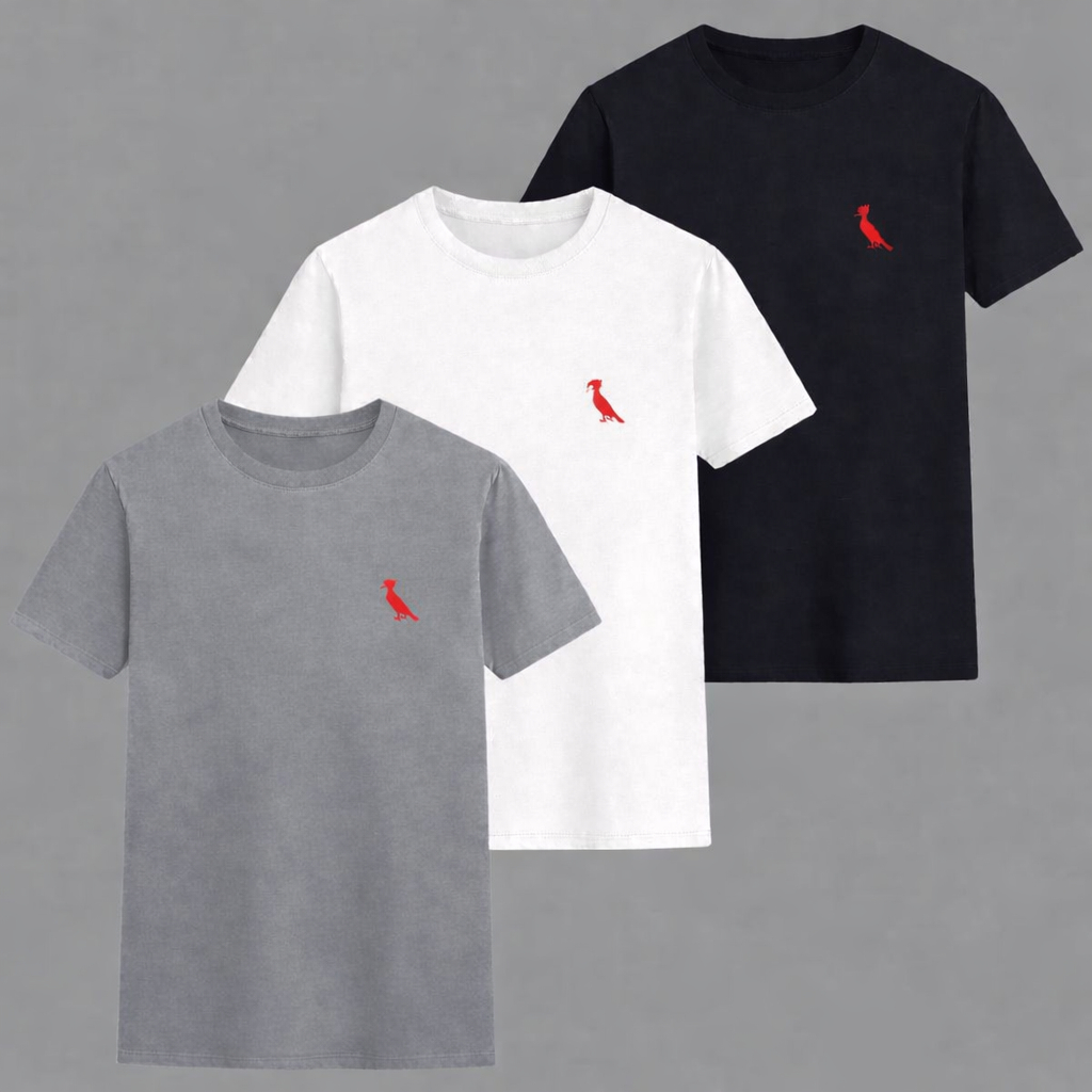 Kit 3 Camisa Masculina Algodão Premium Camiseta Para Presente Varias Cores Oferta