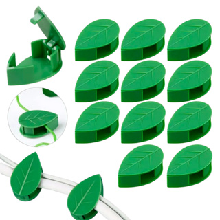 Kit Ganchos Adesivos Discretos para Plantas Trepadeiras e Decoração + Organizador de jardim e Fios | 30 a 60 Unidades em Oferta na Shopee