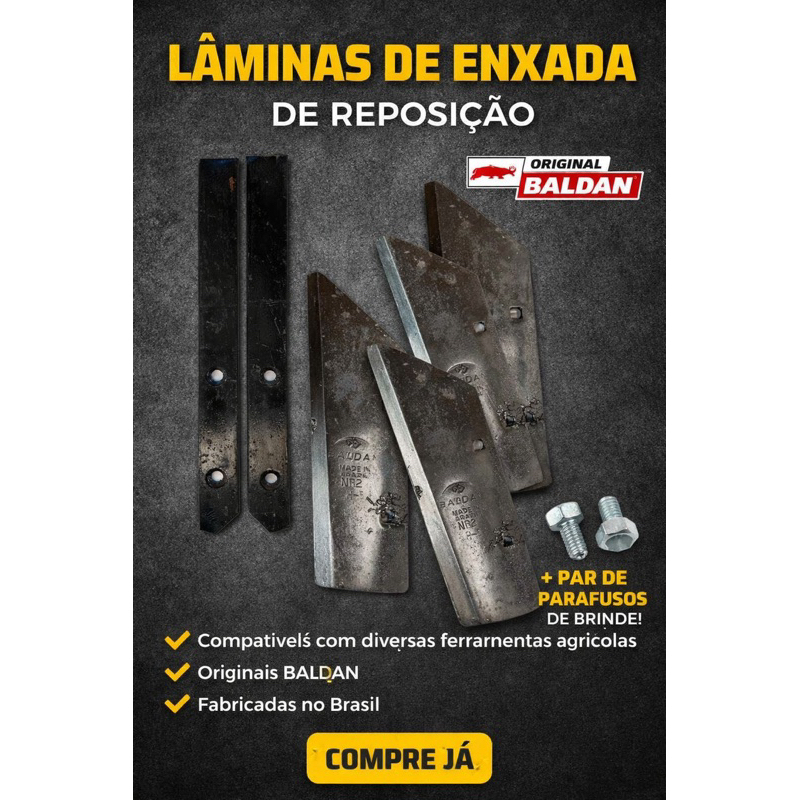 KIT PAR BICO DE ARADO BALDAN N-02 + GUIA + PARAFUSOS DE BRINDE