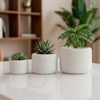 Kit Vaso Planta Decorativo Diagonal Design Minimalista Moderno Decoração Casa Elegante em Oferta na Shopee