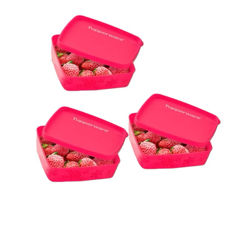 Mini Jeitosinho 250ml Tupperware Pote Hermético Pequeno para Frutas e Lanches | Vedação Perfeita | Organização Cozinha