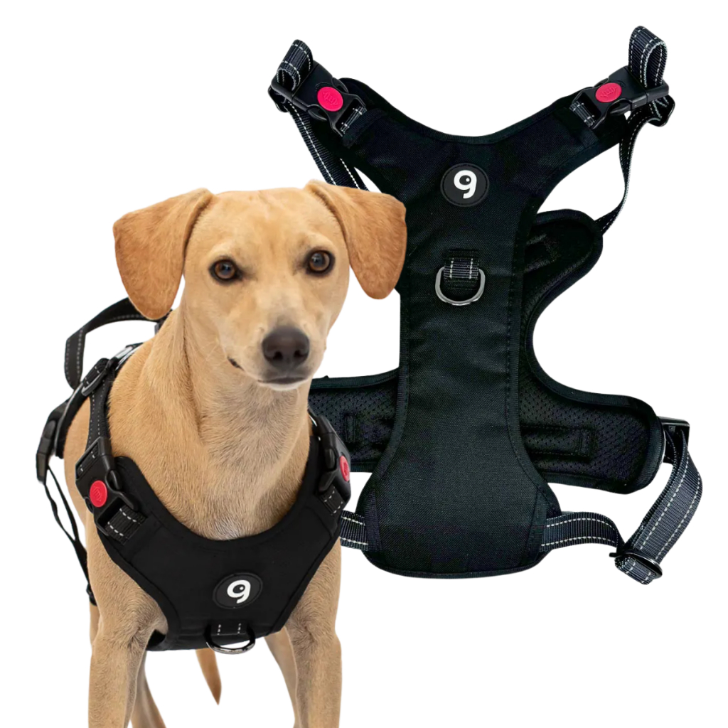 Peitoral Preto com Led Recarregável para Pet Ganbu – Passeios Noturnos, Iluminação e Segurança